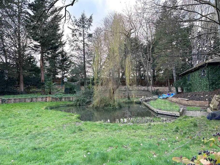 Forest Studio Apt Free Gated Parking On 2 Acres Garden Chislehurst Kültér fotó